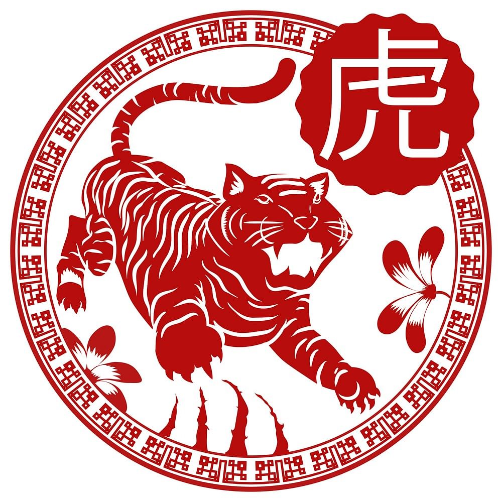 Китайский год тигра