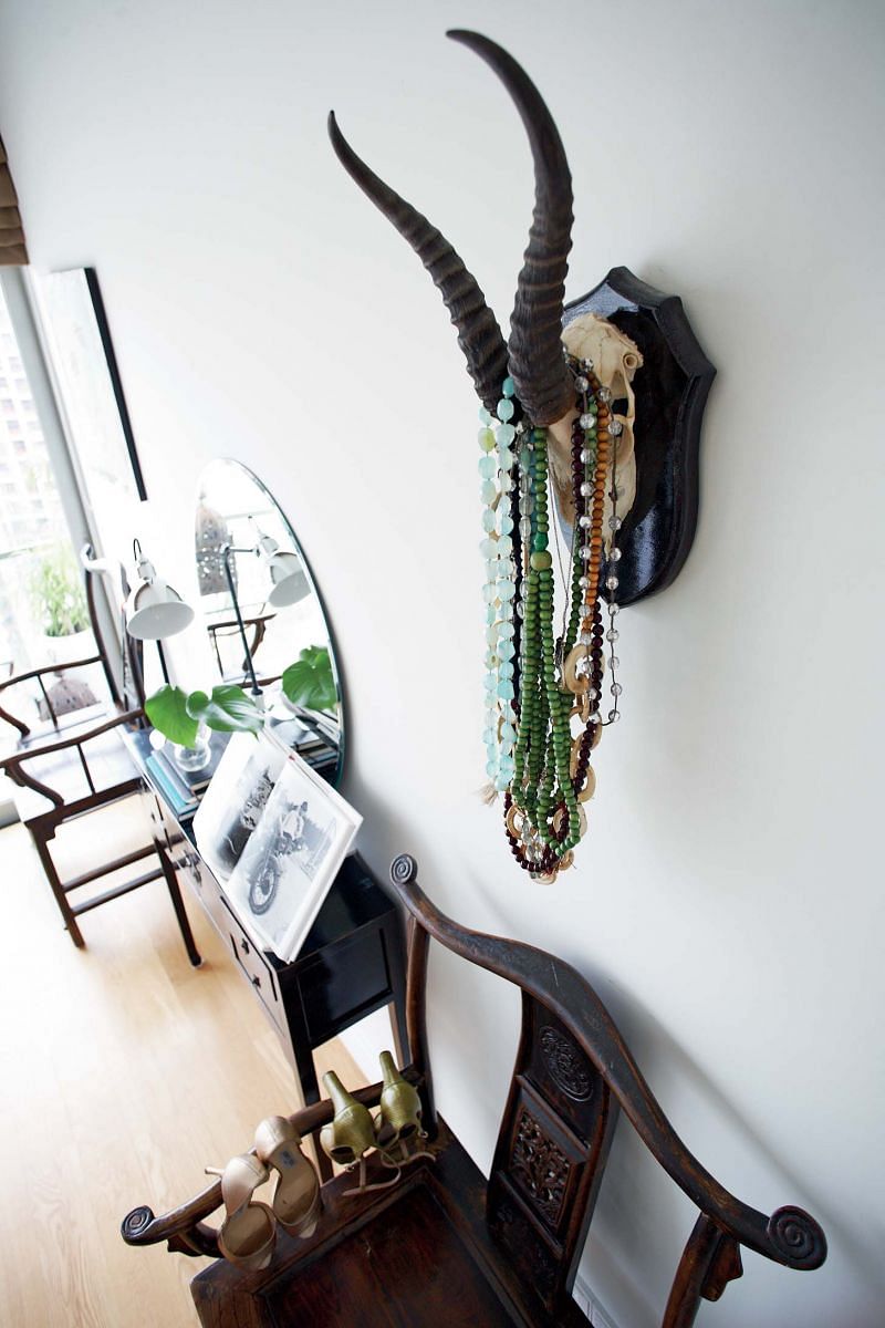mirror, accessories, animal skull, chair, homes