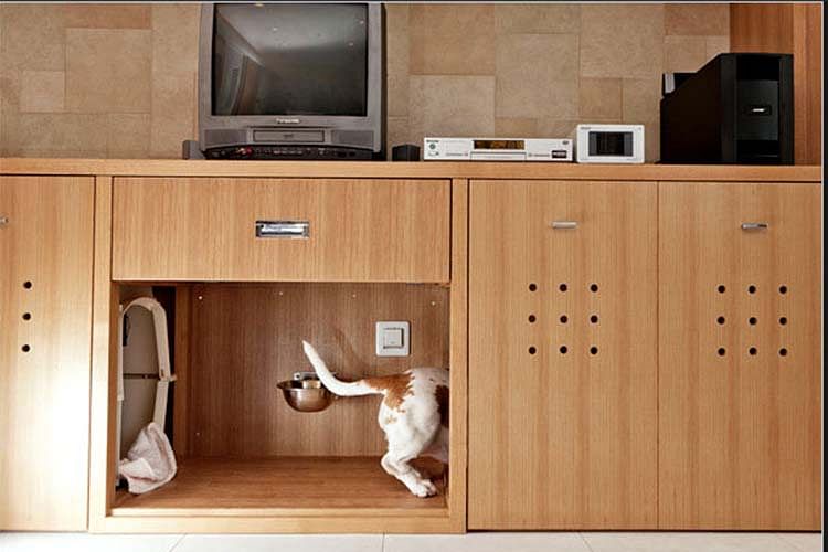 japanese, home, beagle, dog, pet furniture, small space, solutions
