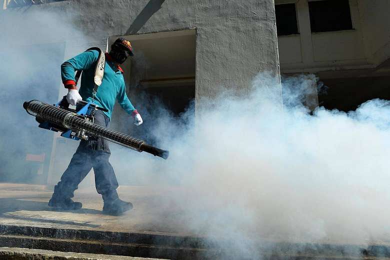 Is fogging effective enough to ward off mosquitoes, or should you do ...