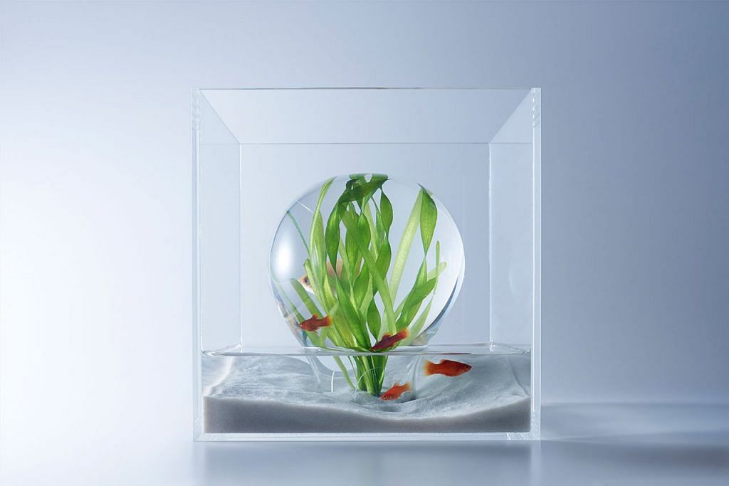 3D-printed fish tanks for the Minimalist in you - Home & Decor Singapore