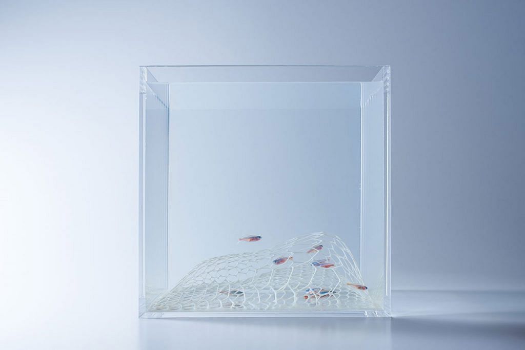 3D-printed fish tanks for the Minimalist in you - Home & Decor
