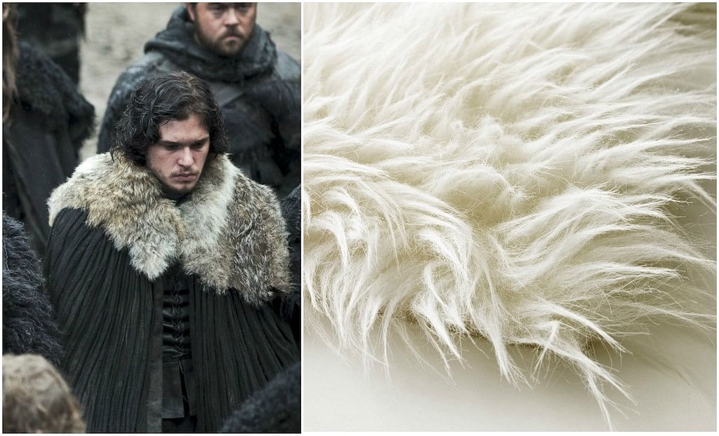 Game Of Thrones: Those gorgeous capes are actually Ikea rugs - Home ...