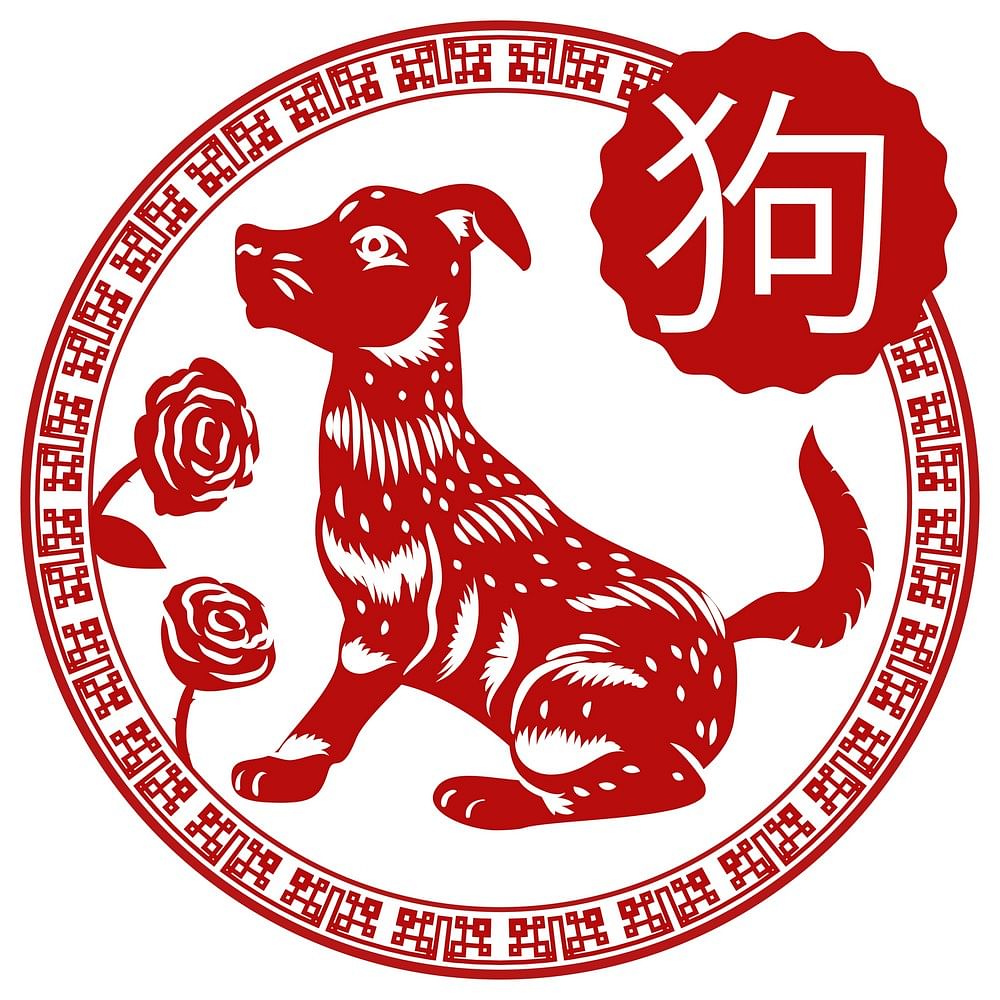 2019 Earth Pig forecast for those born in the year of the dog - Home
