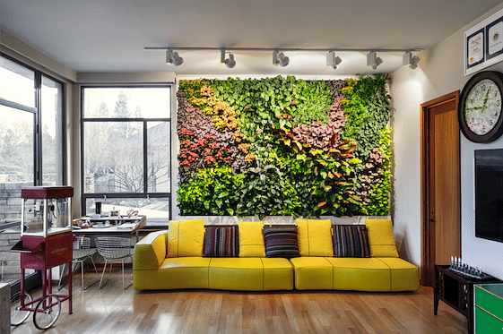 Eco-Chic Living Walls: Breathe Life into Your Home