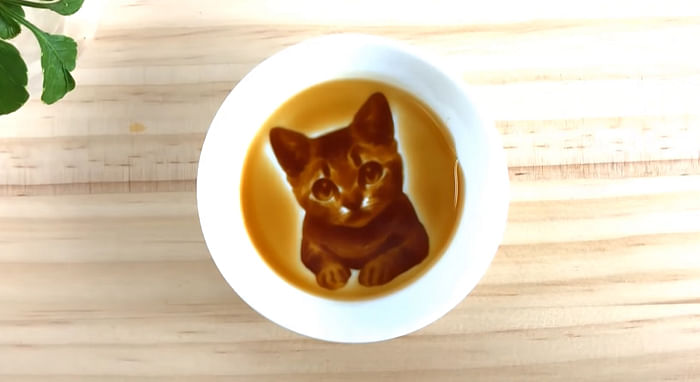 soy sauce cat dish