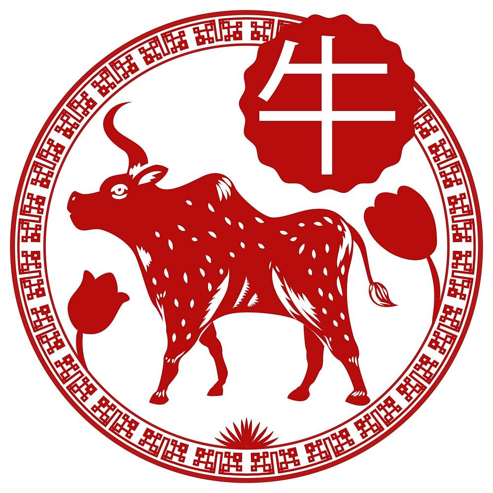 Image result for year of the ox
