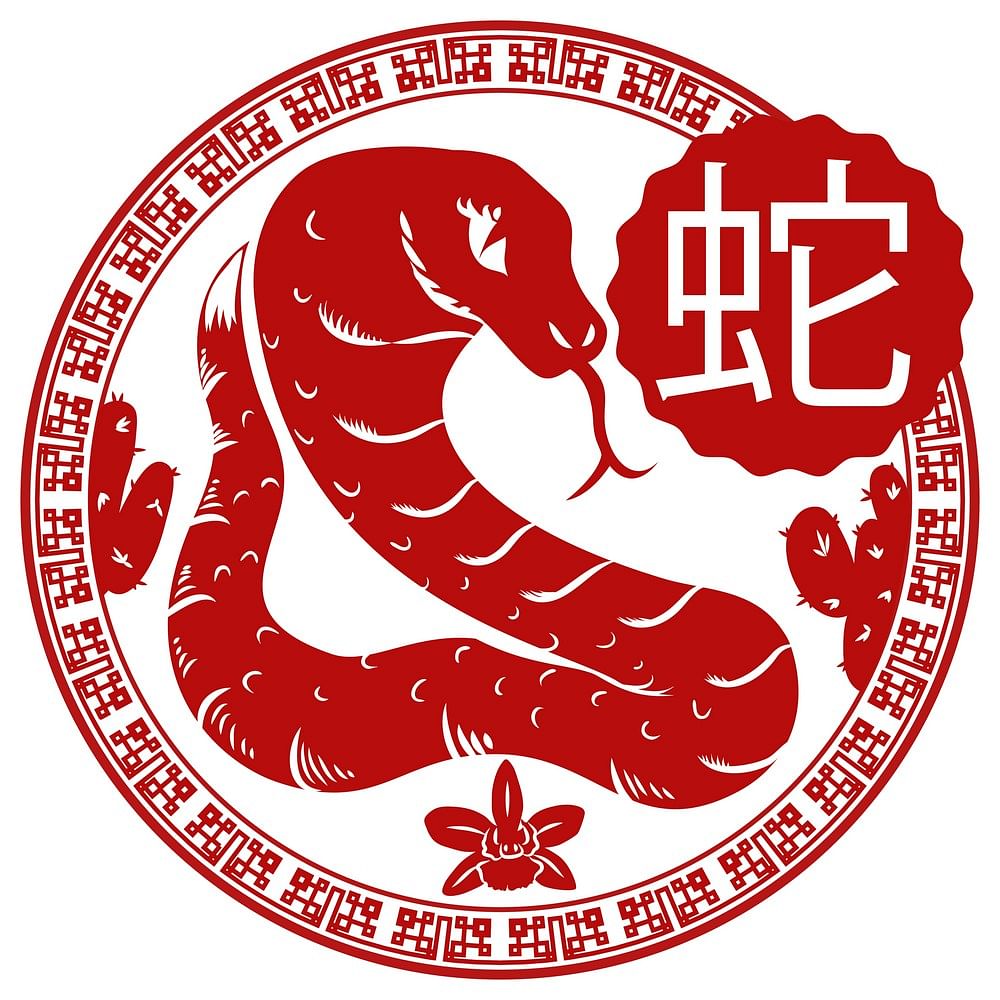 2020 zodiac forecast for those born in year of the Snake - Home & Decor  Singapore