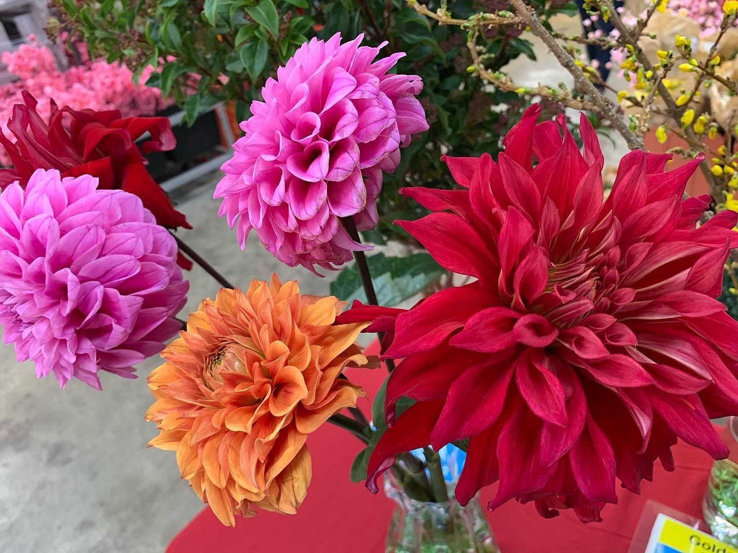 13 best flower shops & florists to get fresh flowers, bouquets
