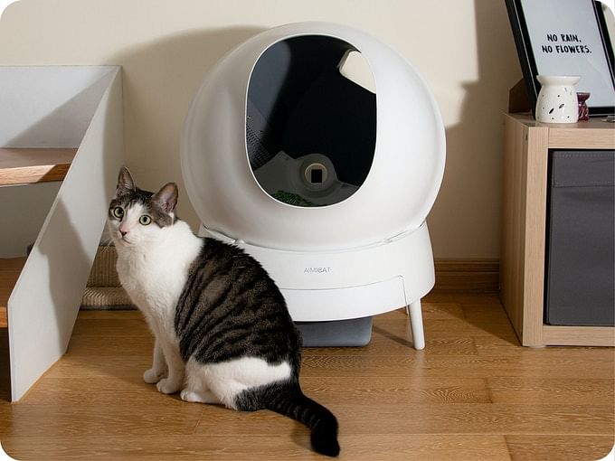 A smart, sleek kitty litter box that cleans itself - Home & Decor Singapore