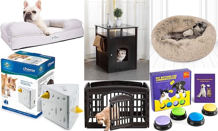 10 Best Buys for your pets at home - Home & Decor Singapore