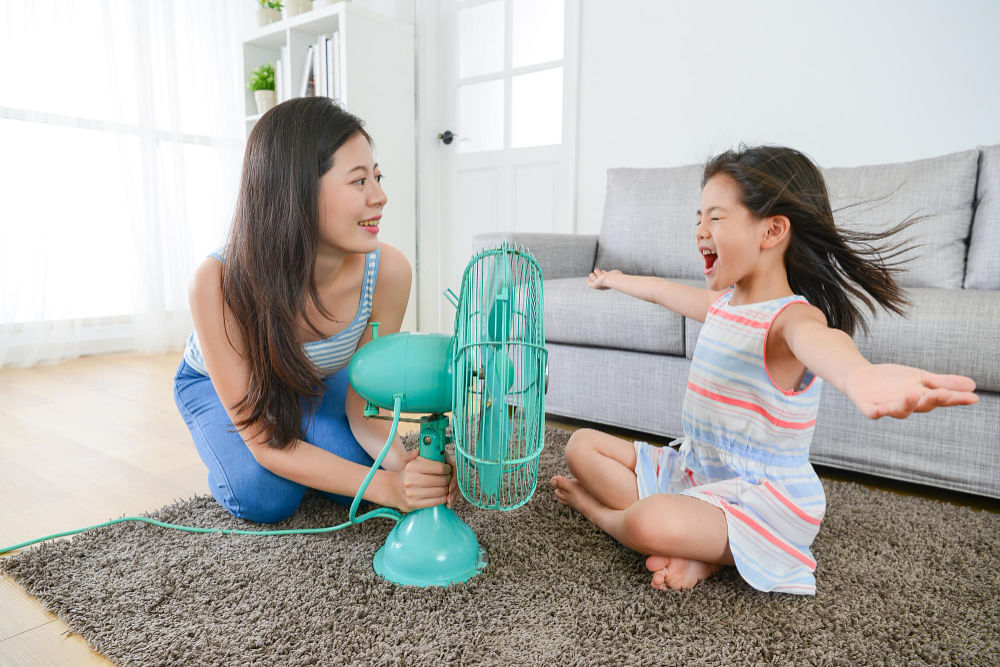 Portable store room fans