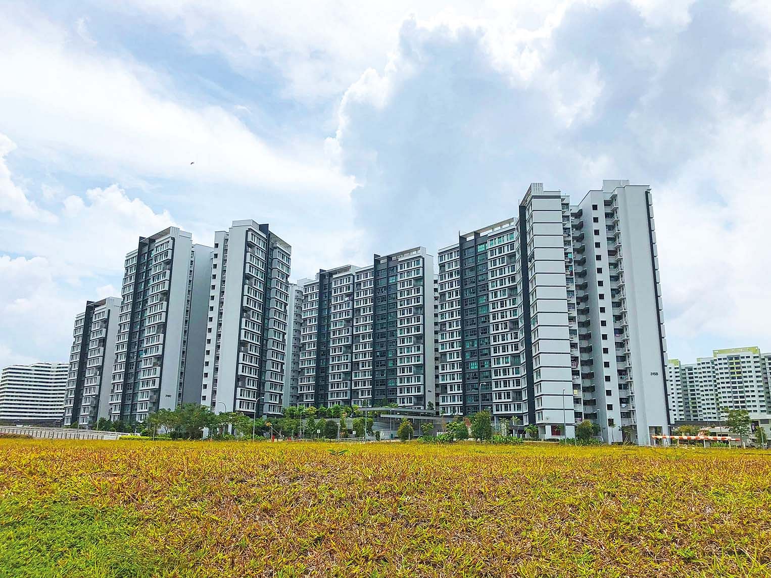 Hdb sbf deals